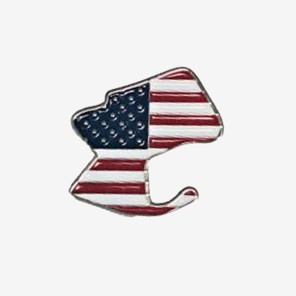 AMERICAN FLAG PIN