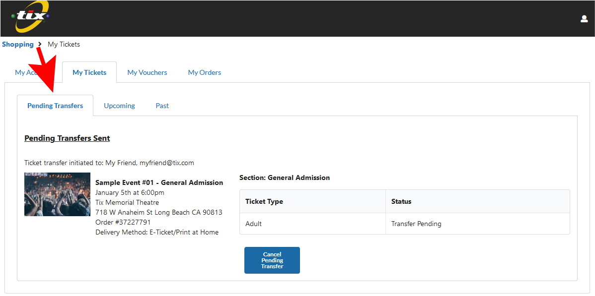 Pending E-Tickets Transfer Through TIx