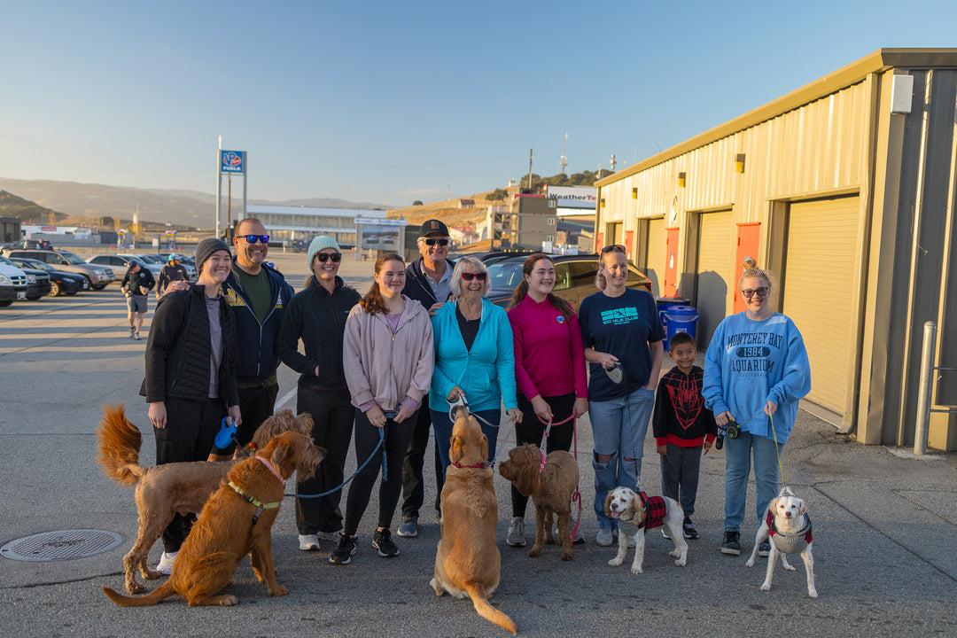Turkey Trot participants and their dogs gathered in the paddock